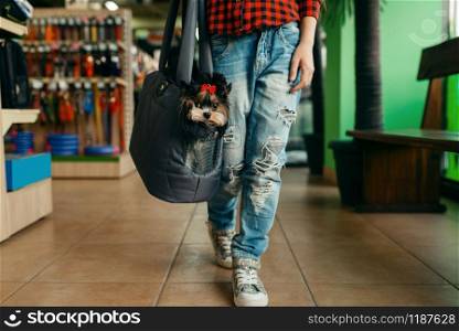 Little girl with her puppy in bag, pet store. Child buying equipment in petshop, accessories for domestic animals. Little girl with her puppy in bag, pet store
