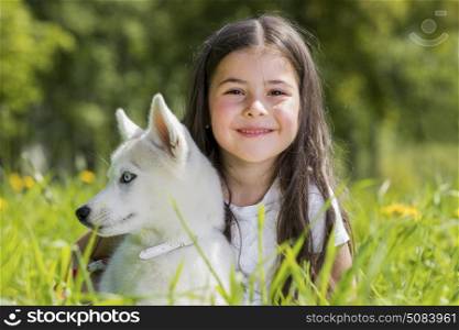 Little girl with husky puppy. Little girl with husky puppy outdoors at summer grass field with dandelions