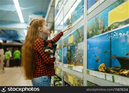 Little girl with puppy looking on fishes in aquarium, pet store. Child buying equipment in petshop, accessories for domestic animals. Girl looking on fishes in aquarium, pet store