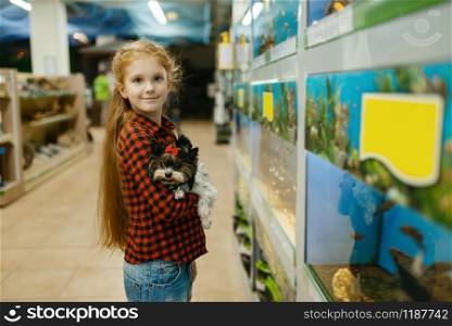 Little girl with puppy looking on fishes in aquarium, pet store. Child buying equipment in petshop. Girl looking on fishes in aquarium, pet store