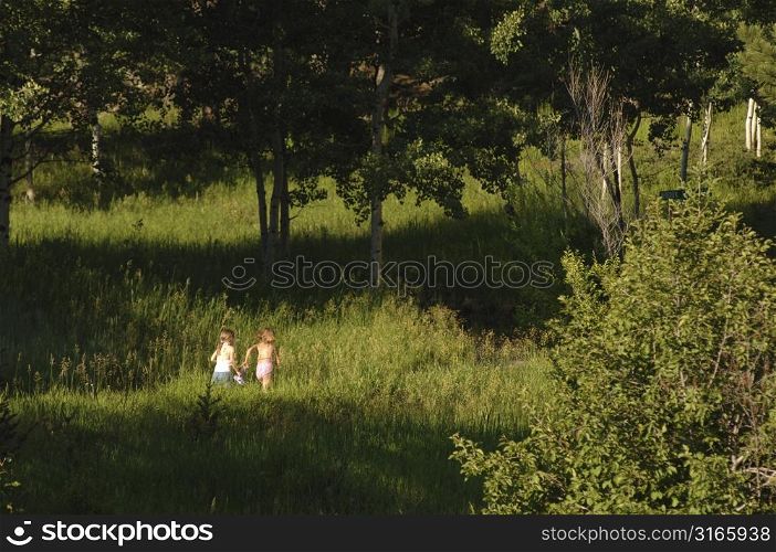 Little girls walking through the tall grass
