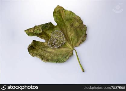 Little heart shape object placed on a dry leaf