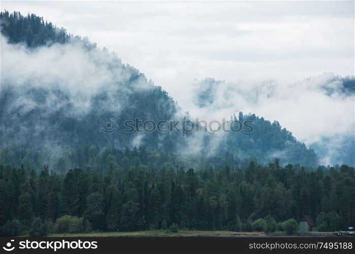 Little house in forested mountain slope in low lying cloud with green conifers shrouded in mist in Altai Mountains. Little house in forested mountain slope