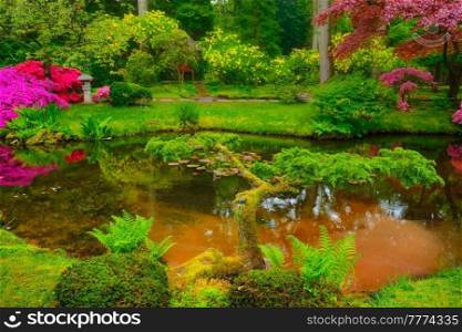 Little Japanese garden after rain, Park Clingendael, The Hague, Netherlands. Japanese garden, Park Clingendael, The Hague, Netherlands