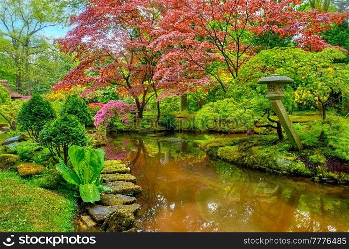 Little Japanese garden after rain, Park Clingendael, The Hague, Netherlands. Japanese garden, Park Clingendael, The Hague, Netherlands