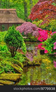 Little Japanese garden after rain, Park Clingendael, The Hague, Netherlands. Japanese garden, Park Clingendael, The Hague, Netherlands