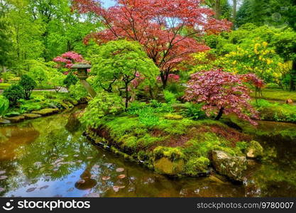 Little Japanese garden after rain, Park Clingendael, The Hague, Netherlands. Japanese garden, Park Clingendael, The Hague, Netherlands