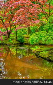 Little Japanese garden after rain, Park Clingendael, The Hague, Netherlands. Japanese garden, Park Clingendael, The Hague, Netherlands