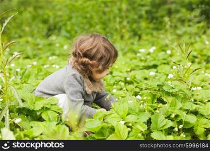 Little kid is lookint in the strawberry garden. Little kid in the garden