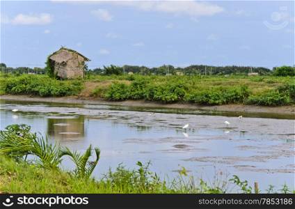 Little Nupa Palm leaves hut and Egret in empty pond, Thailand