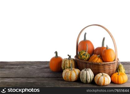 Little pumpkins in basket still life on table isolated on white background. Little pumpkins in basket
