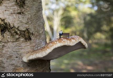 little puppet figure man reading newspaper sitting in the forest on a fungus at a bark tree