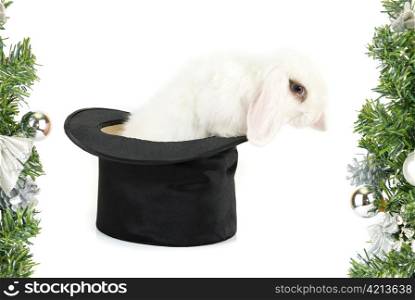 Little rabbit at magic hat isolated on a white background