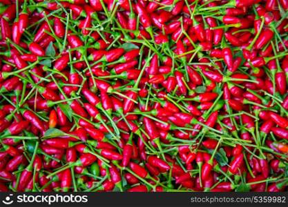 Little red chili peppers pattern texture background