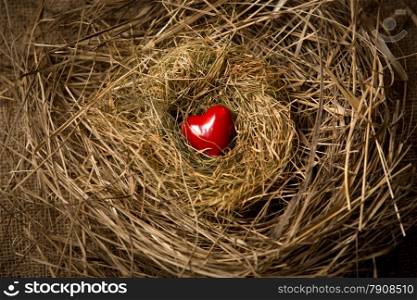 Little red heart lying in birds nest