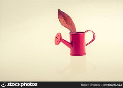 Little red model watering can with leaf in it