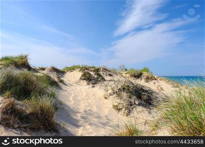Little Sable Point Dunes, Michigan, USA