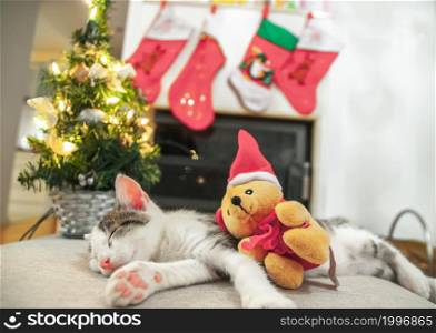 Little Santa kitten Christmas with tree and Christmas To