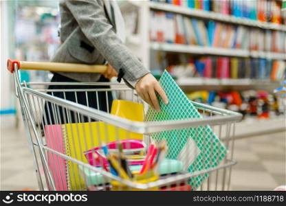 Little schoolgirl puts a notebook in the cart at the shelf in stationery store. Female child buying office supplies in shop, schoolchild in supermarket
