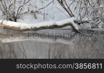 Little stream in winter forest