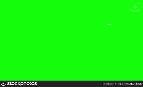 Little Violet Hippo Emerges from the water. Animated Motion Graphic Isolated on Green Screen