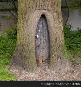 Little wooden fairy tale door in a tree trunk