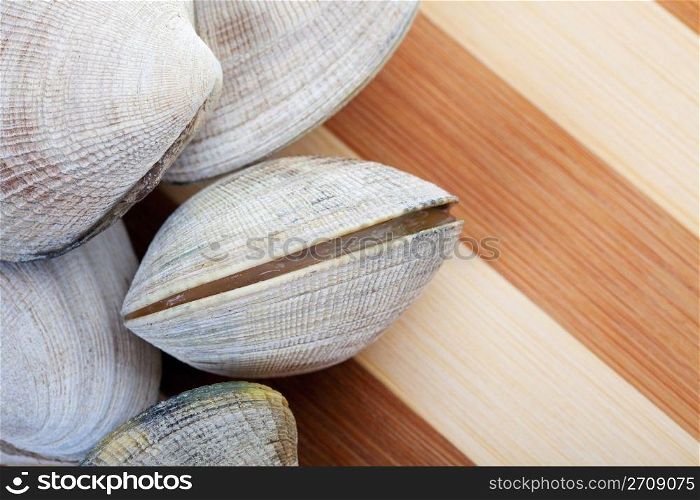 Live clams on a cutting board, ready to cook. Focus on opening clam. Shallow dof.