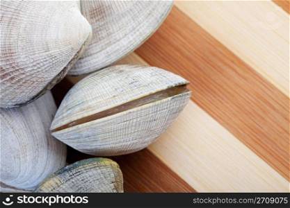 Live clams on a cutting board, ready to cook. Focus on opening clam. Shallow dof.