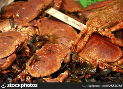 Live crabs on ice for sale at food market