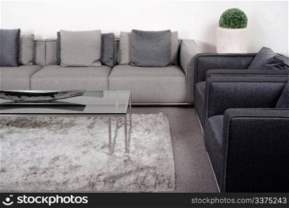 Living-room with brand new classic furniture