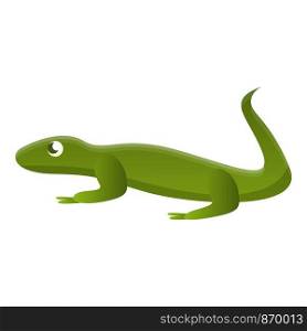 Lizard icon. Cartoon of lizard vector icon for web design isolated on white background. Lizard icon, cartoon style