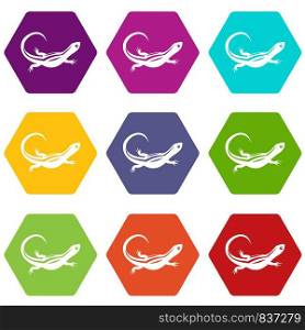 Lizard icon set many color hexahedron isolated on white vector illustration. Lizard icon set color hexahedron