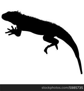 Lizard is goanna silhouette on a white background. Vector illustration. Lizard is goanna silhouette on a white background. Vector illustration.