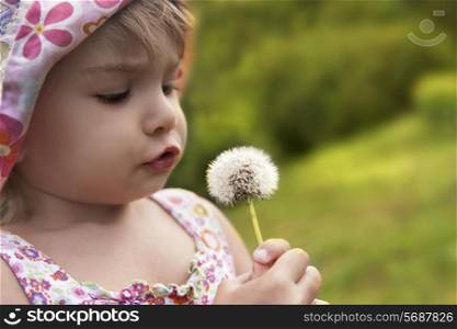 Llittle Cute Girl Blowing On A Dandelion In The Field