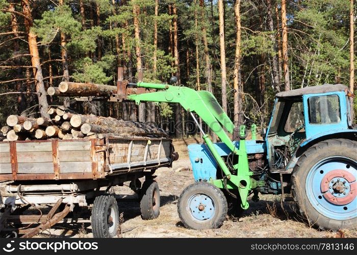 Loading logs of trees in the forest, background
