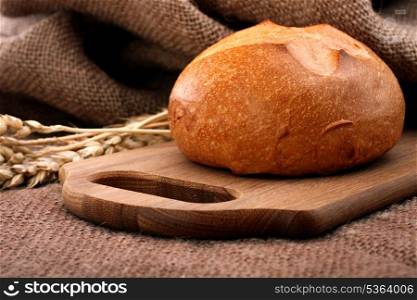 Loaf of bread and wheat ears still life on rustic background