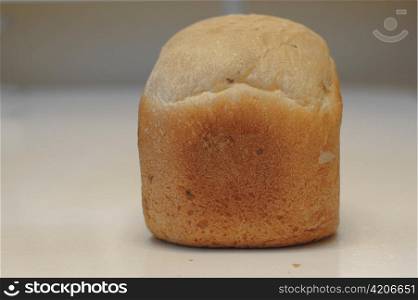 Loaf of freshly baked white bread