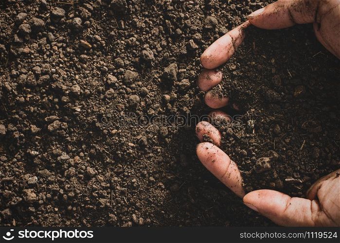 Loam in the hands of men for planting.