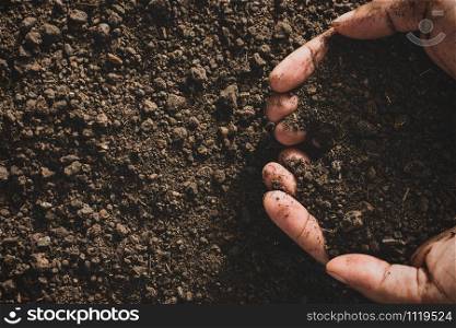 Loam in the hands of men for planting.