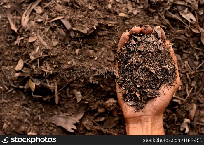 Loam in the hands of men for planting, soil texture background.