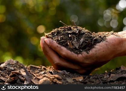 Loam in the hands of men for planting, soil texture background.