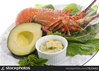 lobster and avocado sauce on colored background