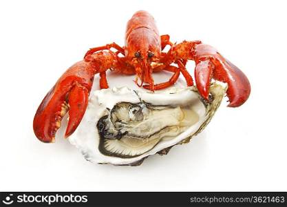 Lobster and oyster