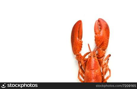 Lobster isolated / Steamed lobster seafood shrimp prawn on white background
