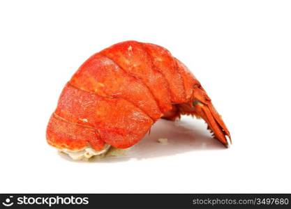 lobster tail isolated on white