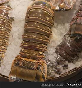 Lobster Tails on ice at a market stall, Pike Place Market, Seattle, Washington State, USA