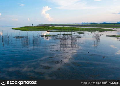 Local fishing trap net in canel, lake or river at sunset. Nature landscape fisheries and fishing tools lifestyle at Pak Pha, Phattalung, Thailand. Aquaculture farming.