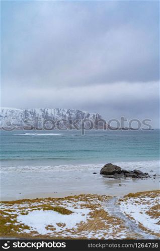 Lofoten islands, Nordland county, Norway, Europe. White snowy mountain hills and trees, nature landscape background in winter season. Famous tourist attraction