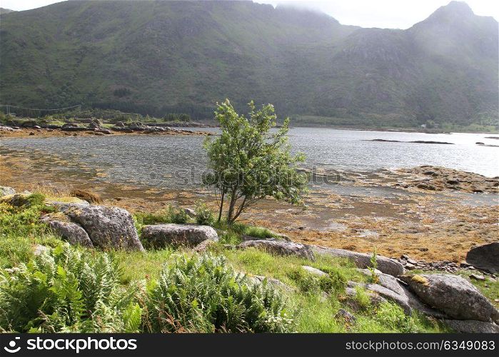 Lofoten peninsula, Norway, Mountains, lakes, and fjords