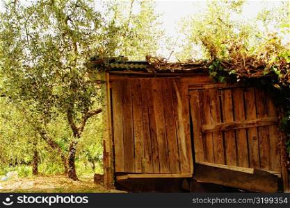 Log cabin in a forest, Siena Province, Tuscany, Italy